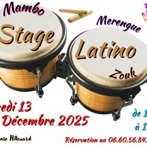 DANSES LATINO – 13 décembre 2025 – 14h00/15h30