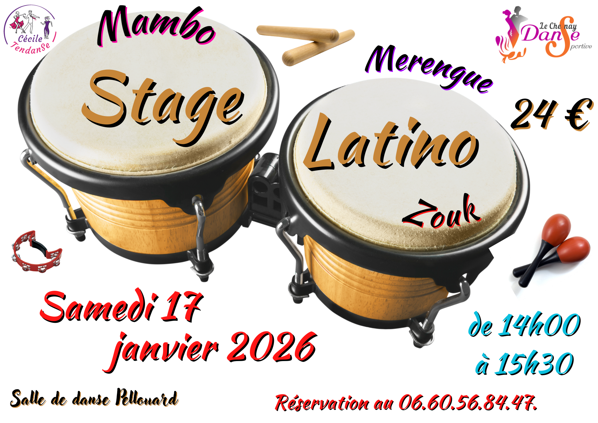You are currently viewing DANSES LATINO – 17 JANVIER 2023 – 14H00